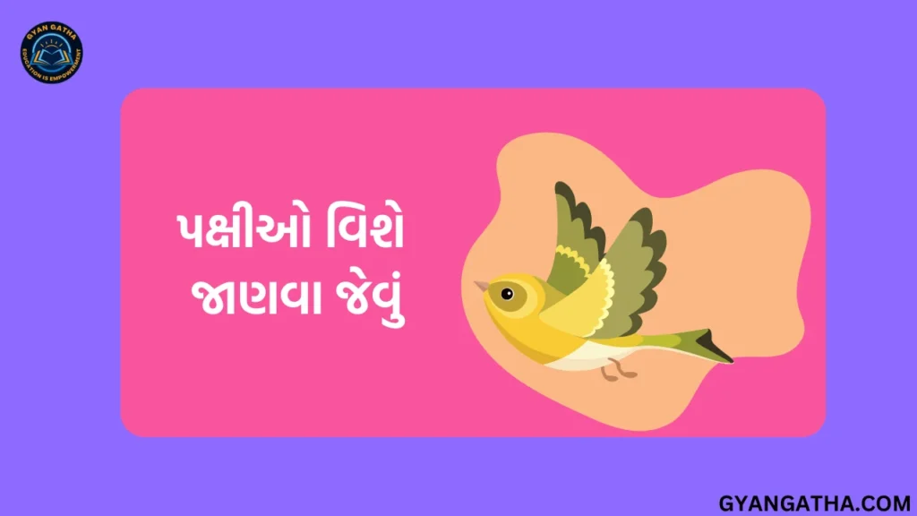 પક્ષીઓ વિશે જાણવા જેવું