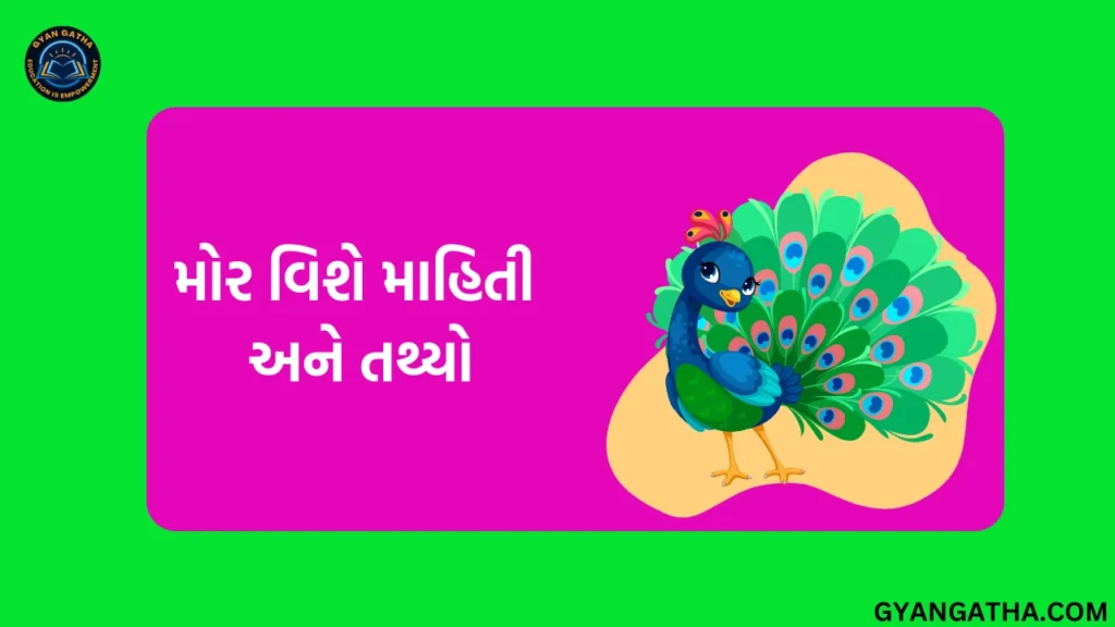 મોર વિશે માહિતી અને તથ્યો