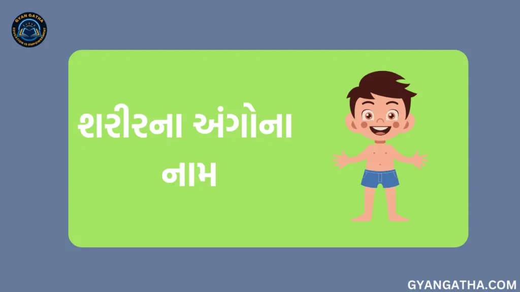 શરીરના અંગોના નામ