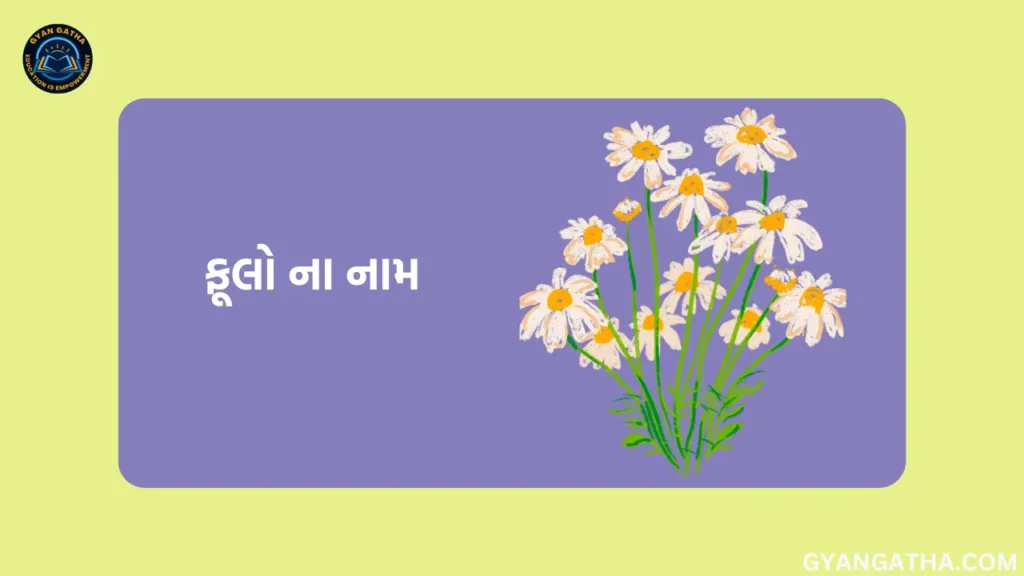 ફૂલો ના નામ