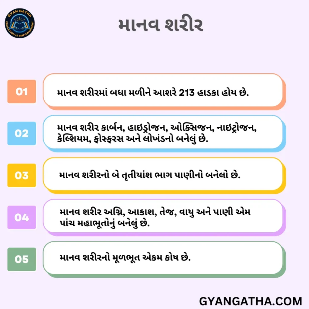 Manav Ratra માનવ શરીર | Gyan Gatha