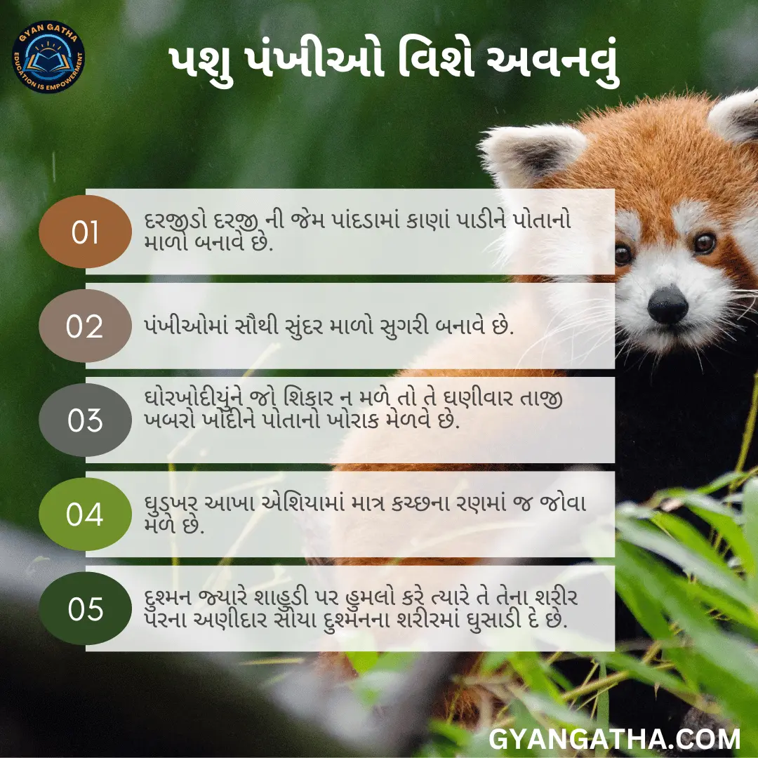 પશુ પંખીઓ વિશે અવનવું