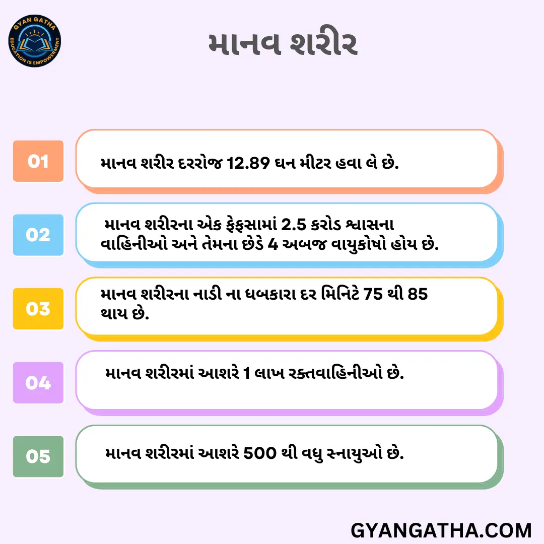 માનવ શરીર