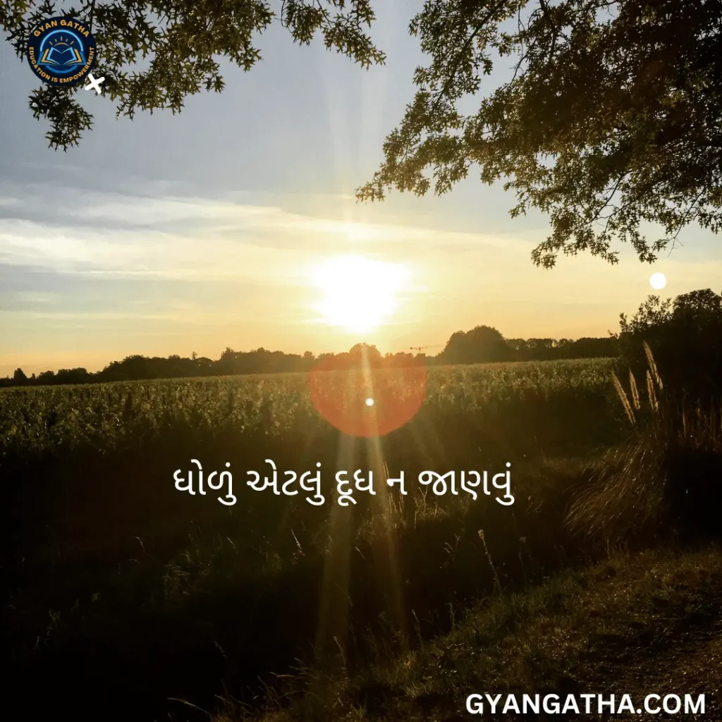 ધોળું એટલું દૂધ ન જાણવું.