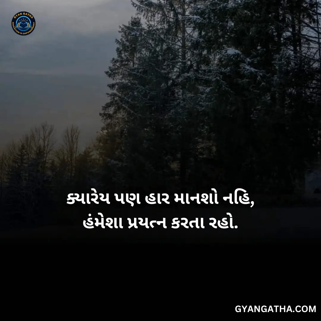 ક્યારેય પણ હાર માનશો નહિ, હંમેશા પ્રયત્ન કરતા રહો.