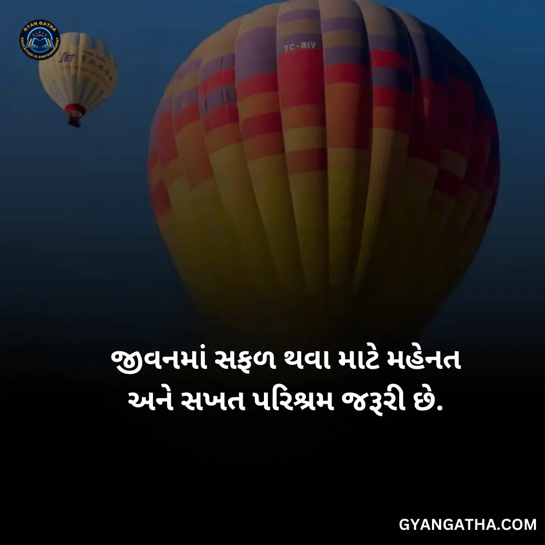 જીવનમાં સફળ થવા માટે મહેનત અને સખત પરિશ્રમ જરૂરી છે.