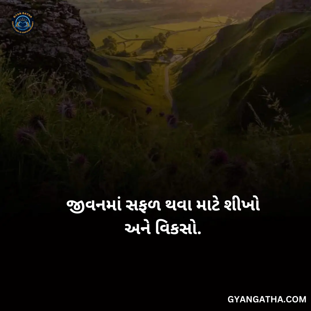 જીવનમાં સફળ થવા માટે શીખો અને વિકસો