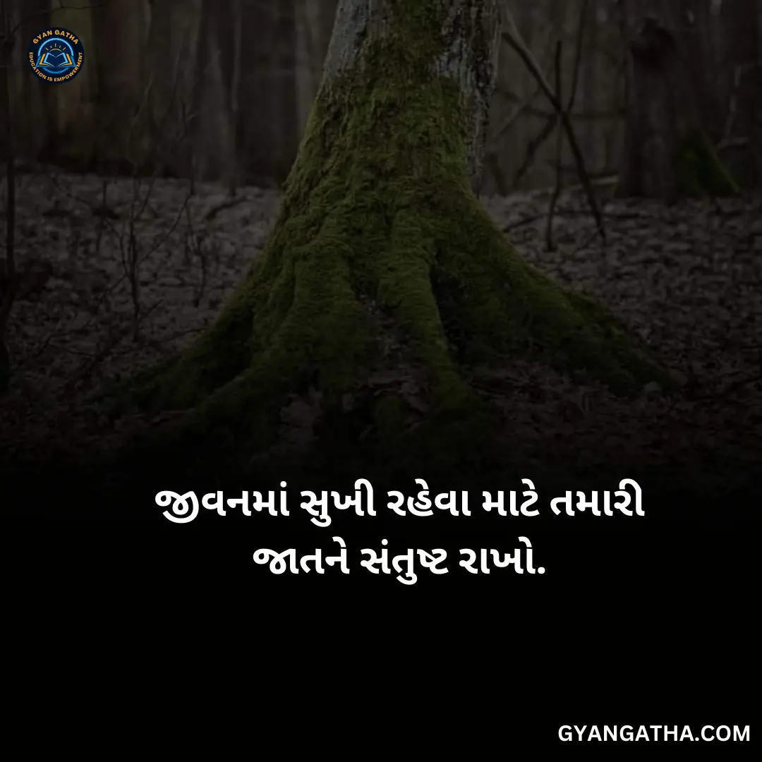 જીવનમાં સુખી રહેવા માટે તમારી જાતને સંતુષ્ટ રાખો