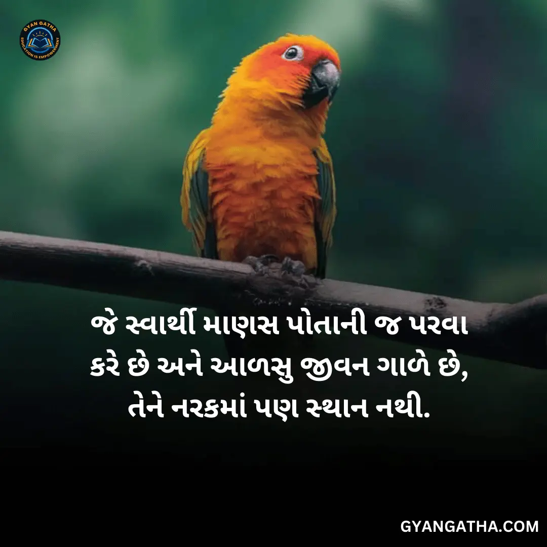 જે સ્વાર્થી માણસ પોતાની જ પરવા કરે છે અને આળસુ જીવન ગાળે છે, તેને નરકમાં પણ સ્થાન નથી