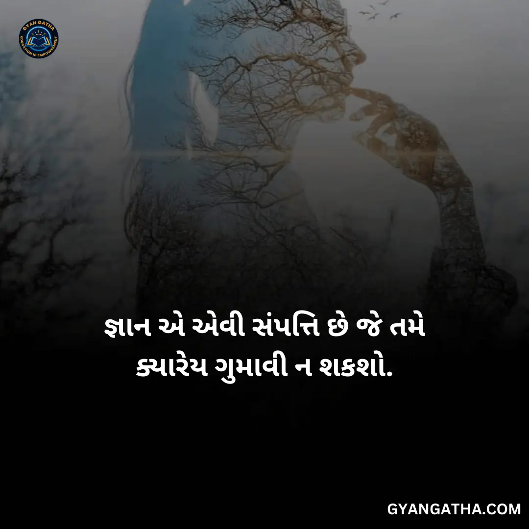 જ્ઞાન એ એવી સંપત્તિ છે જે તમે ક્યારેય ગુમાવી ન શકશો