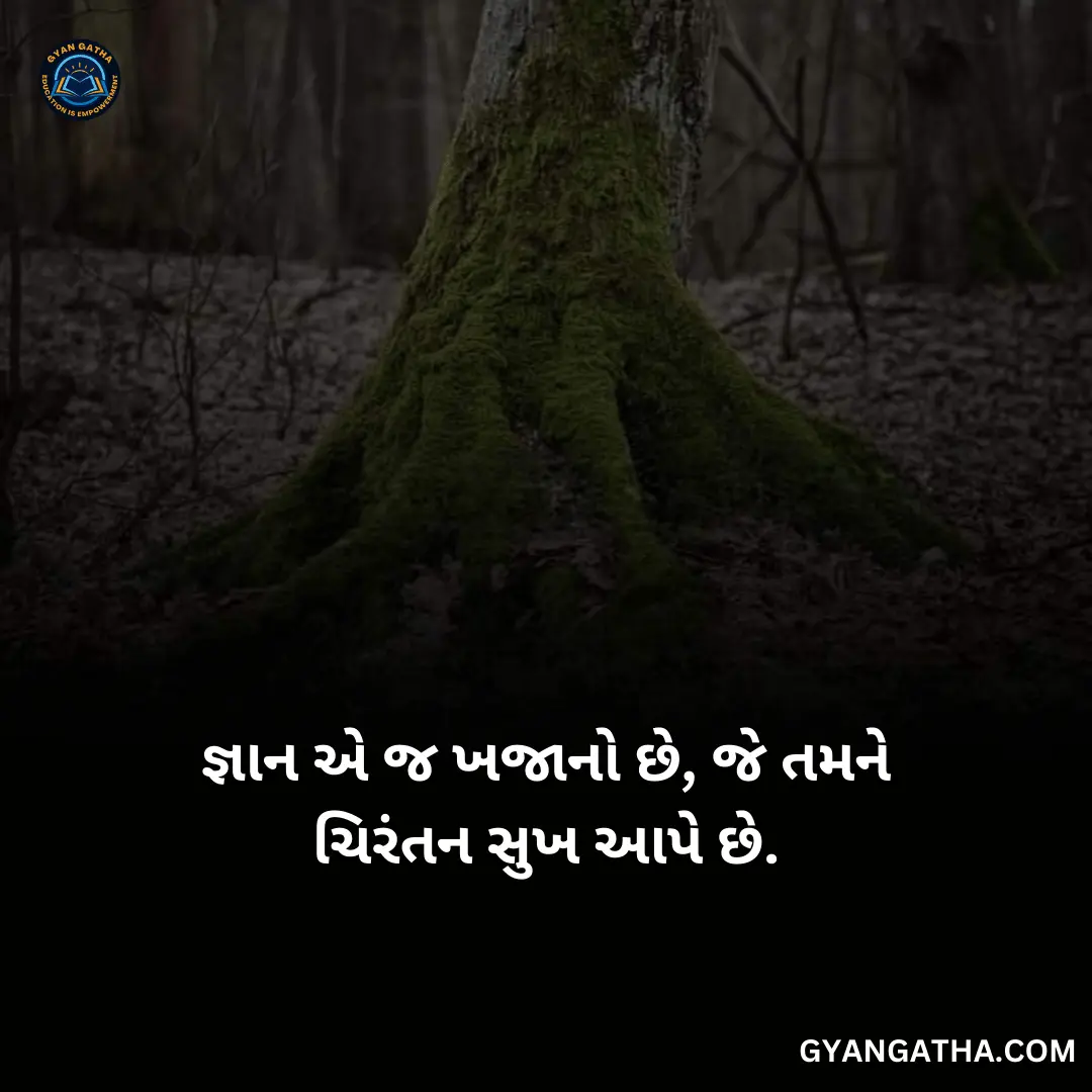 જ્ઞાન એ જ ખજાનો છે, જે તમને ચિરંતન સુખ આપે છે.