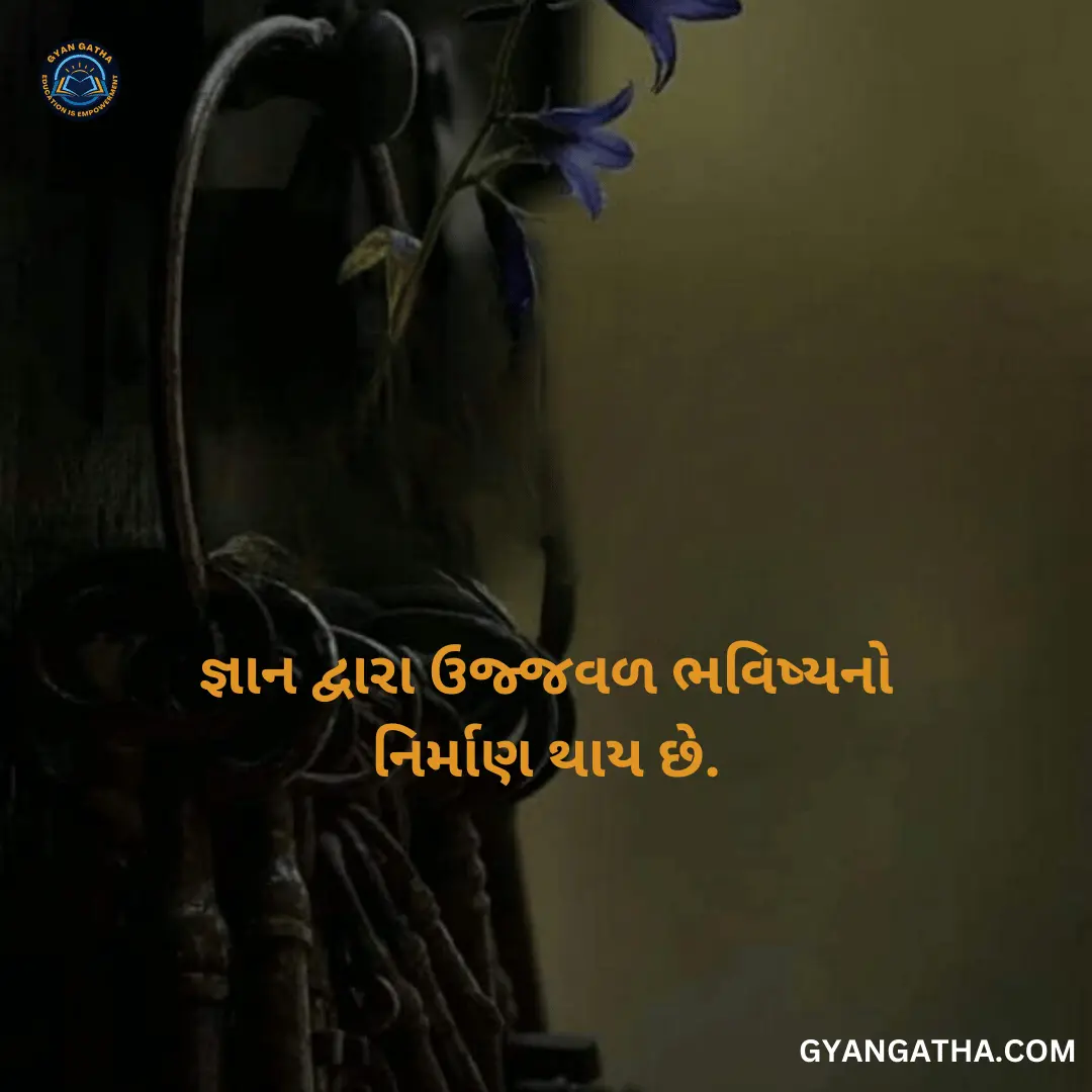 જ્ઞાન દ્વારા ઉજ્જવળ ભવિષ્યનો નિર્માણ થાય છે