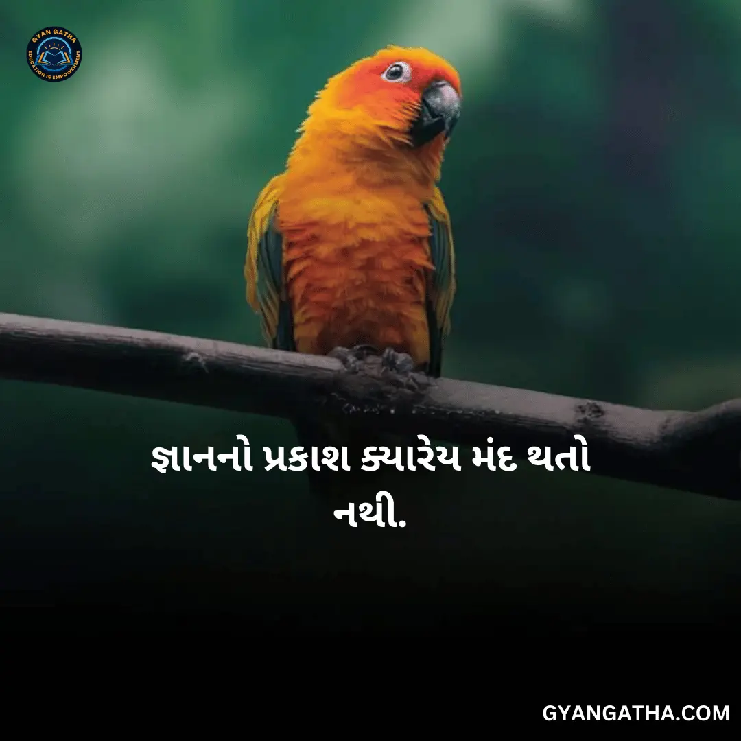 જ્ઞાનનો પ્રકાશ ક્યારેય મંદ થતો નથી