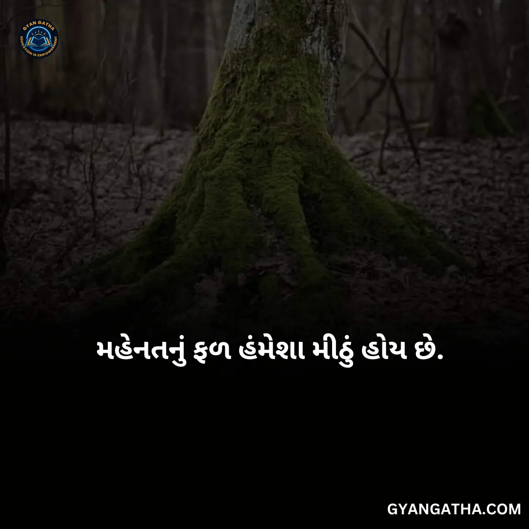 મહેનતનું ફળ હંમેશા મીઠું હોય છે