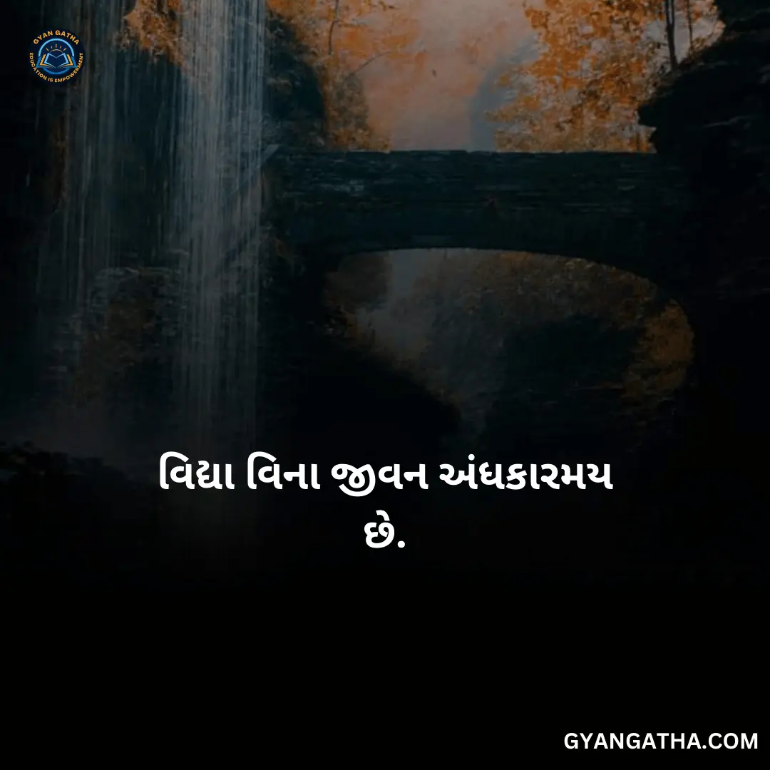 વિદ્યા વિના જીવન અંધકારમય છે