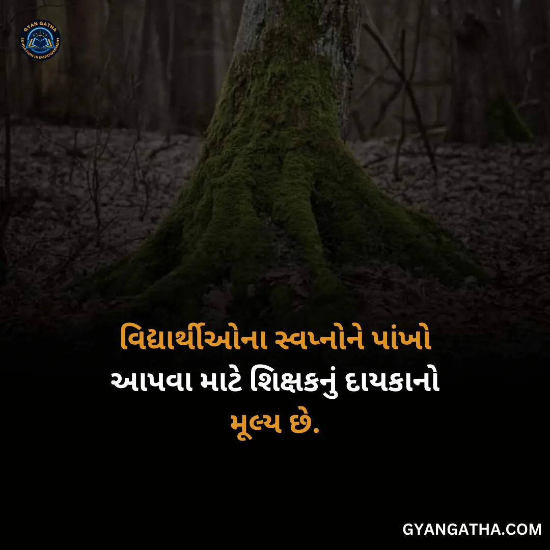 વિદ્યાર્થીઓના સ્વપ્નોને પાંખો આપવા માટે શિક્ષકનું દાયકાનો મૂલ્ય છે