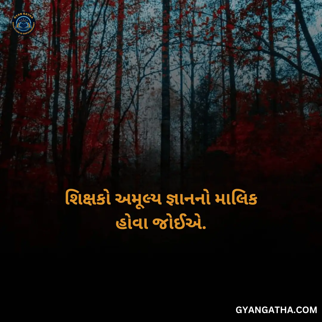 શિક્ષકો અમૂલ્ય જ્ઞાનનો માલિક હોવા જોઈએ