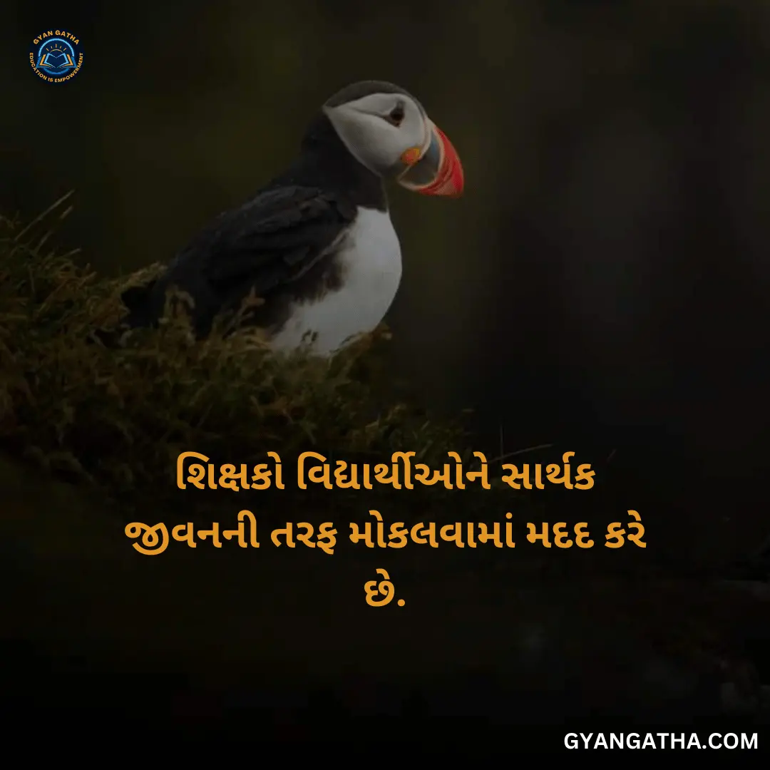 શિક્ષકો વિદ્યાર્થીઓને સાર્થક જીવનની તરફ મોકલવામાં મદદ કરે છે