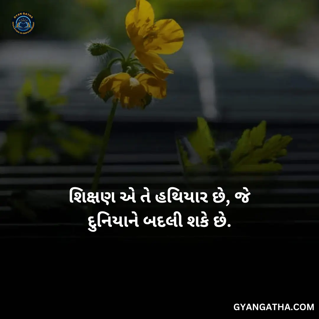 શિક્ષણ એ તે હથિયાર છે, જે દુનિયાને બદલી શકે છે
