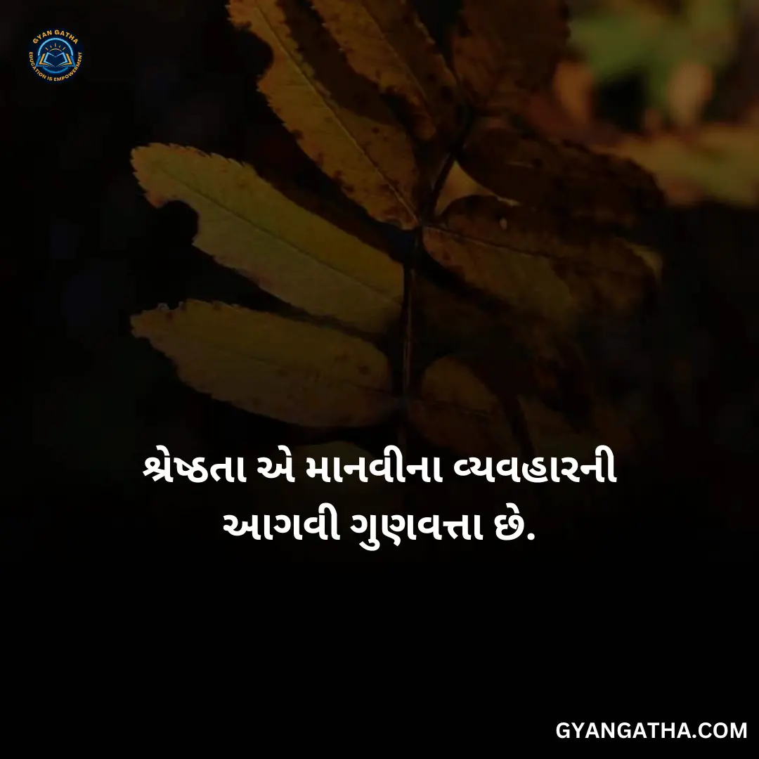 શ્રેષ્ઠતા એ માનવીના વ્યવહારની આગવી ગુણવત્તા છે