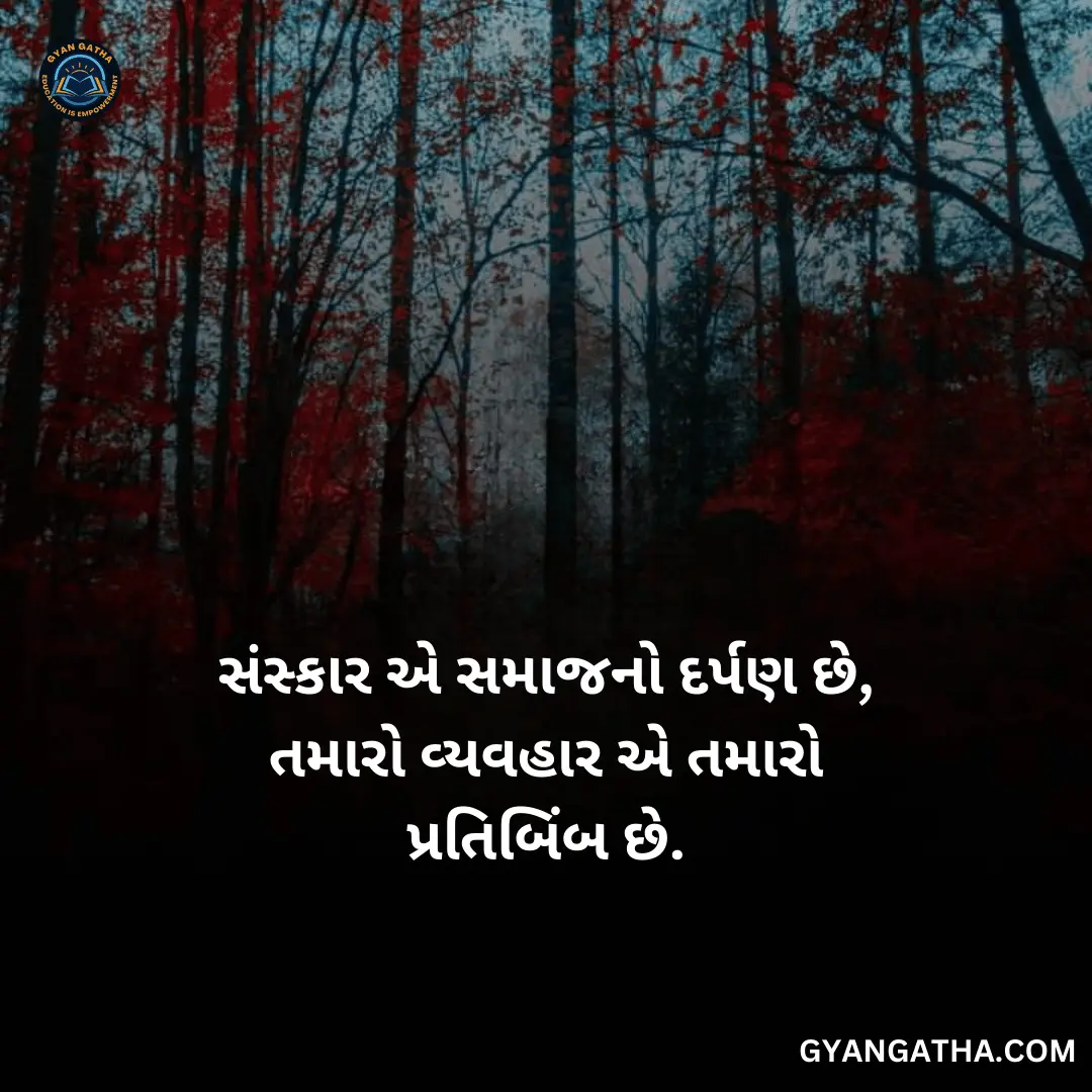 સંસ્કાર એ સમાજનો દર્પણ છે, તમારો વ્યવહાર એ તમારો પ્રતિબિંબ છે