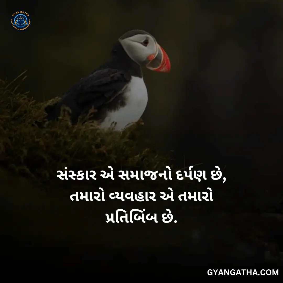 સંસ્કાર એ સમાજનો દર્પણ છે, તમારો વ્યવહાર એ તમારો પ્રતિબિંબ છે