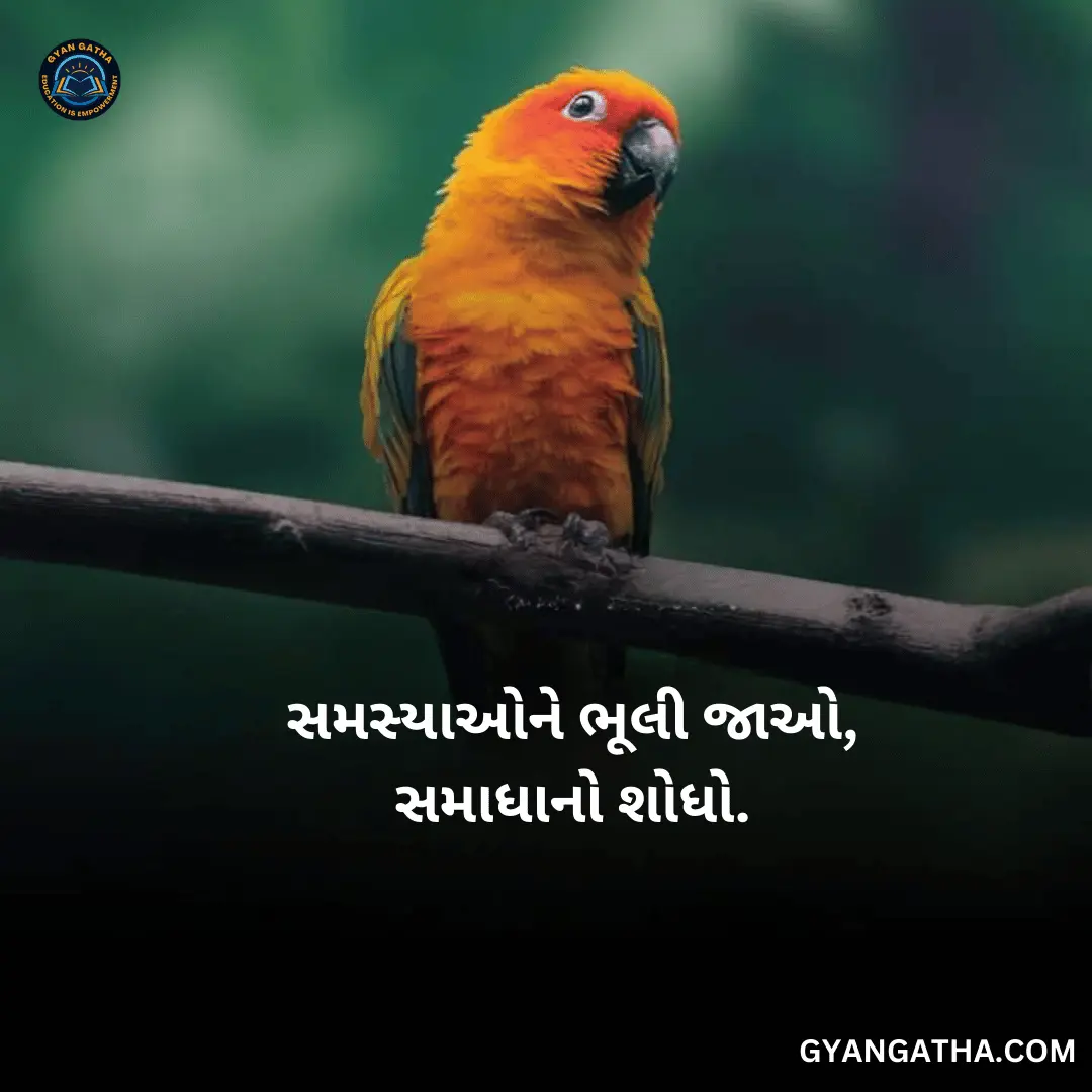 સમસ્યાઓને ભૂલી જાઓ, સમાધાનો શોધો.