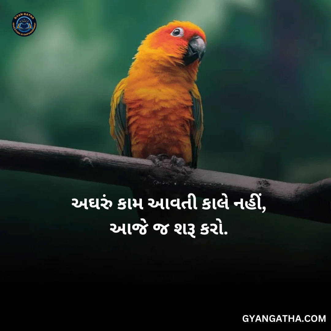 અઘરું કામ આવતી કાલે નહીં, આજે જ શરૂ કરો.