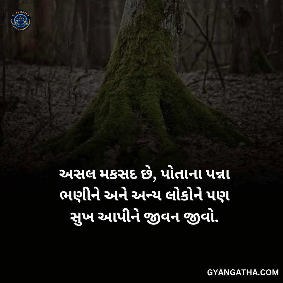 અસલ મકસદ છે, પોતાના પન્ના ભણીને અને અન્ય લોકોને પણ સુખ આપીને જીવન જીવો