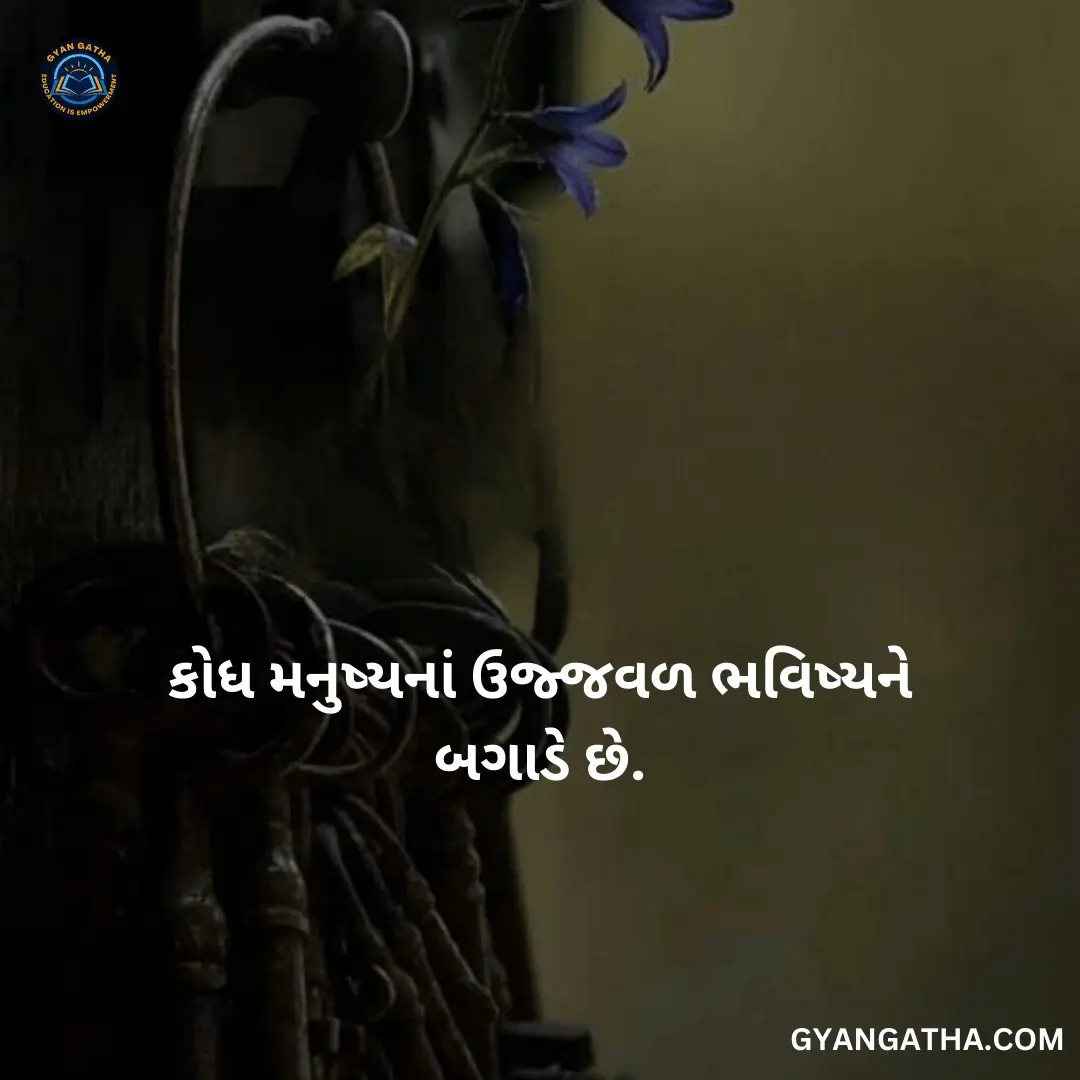કોધ મનુષ્યનાં ઉજ્જવળ ભવિષ્યને બગાડે છે