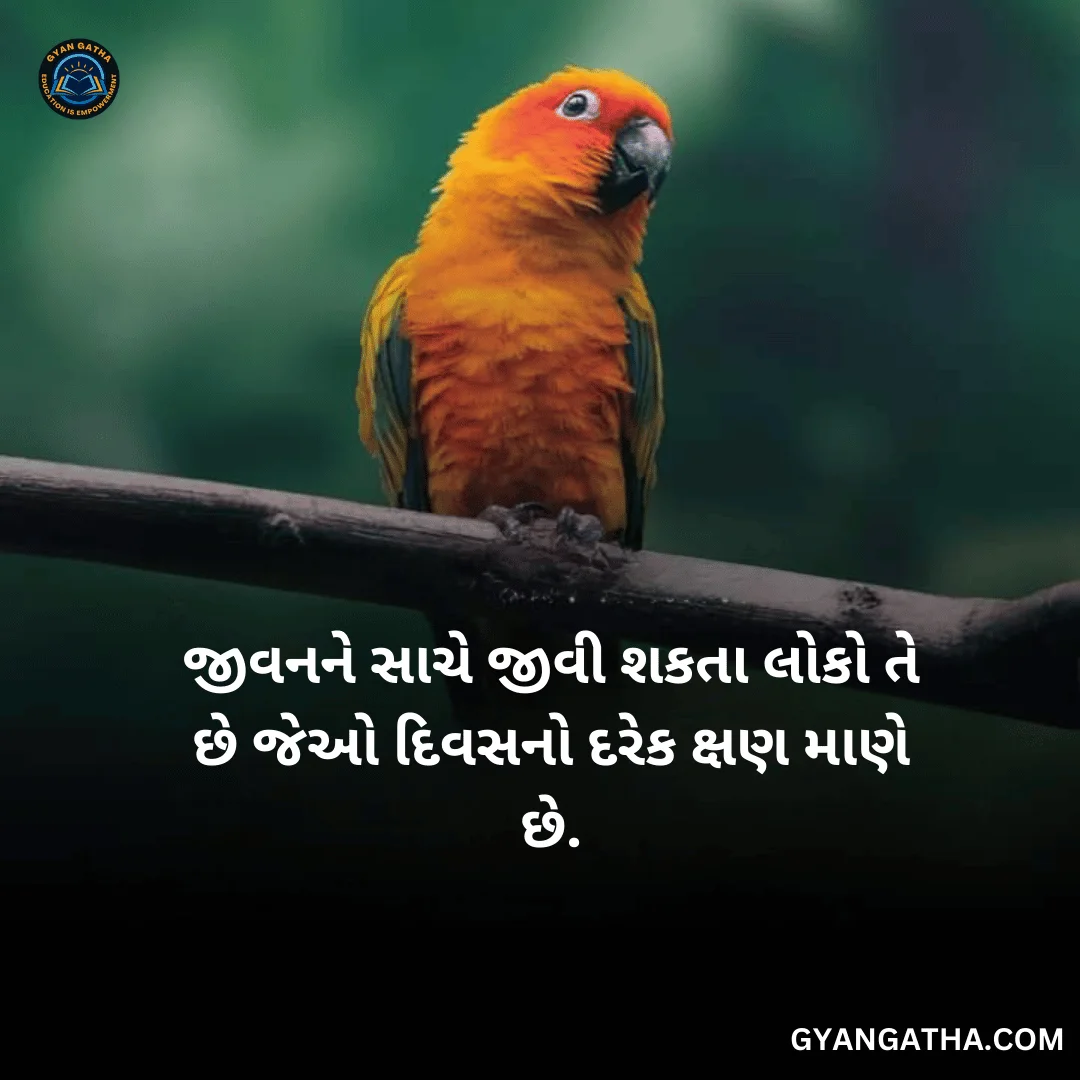 જીવનને સાચે જીવી શકતા લોકો તે છે જેઓ દિવસનો દરેક ક્ષણ માણે છે.