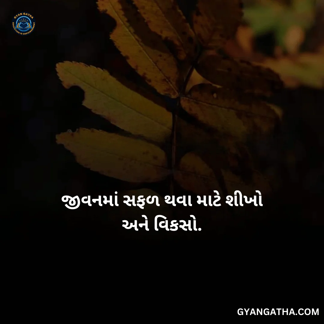 જીવનમાં સફળ થવા માટે શીખો અને વિકસો.