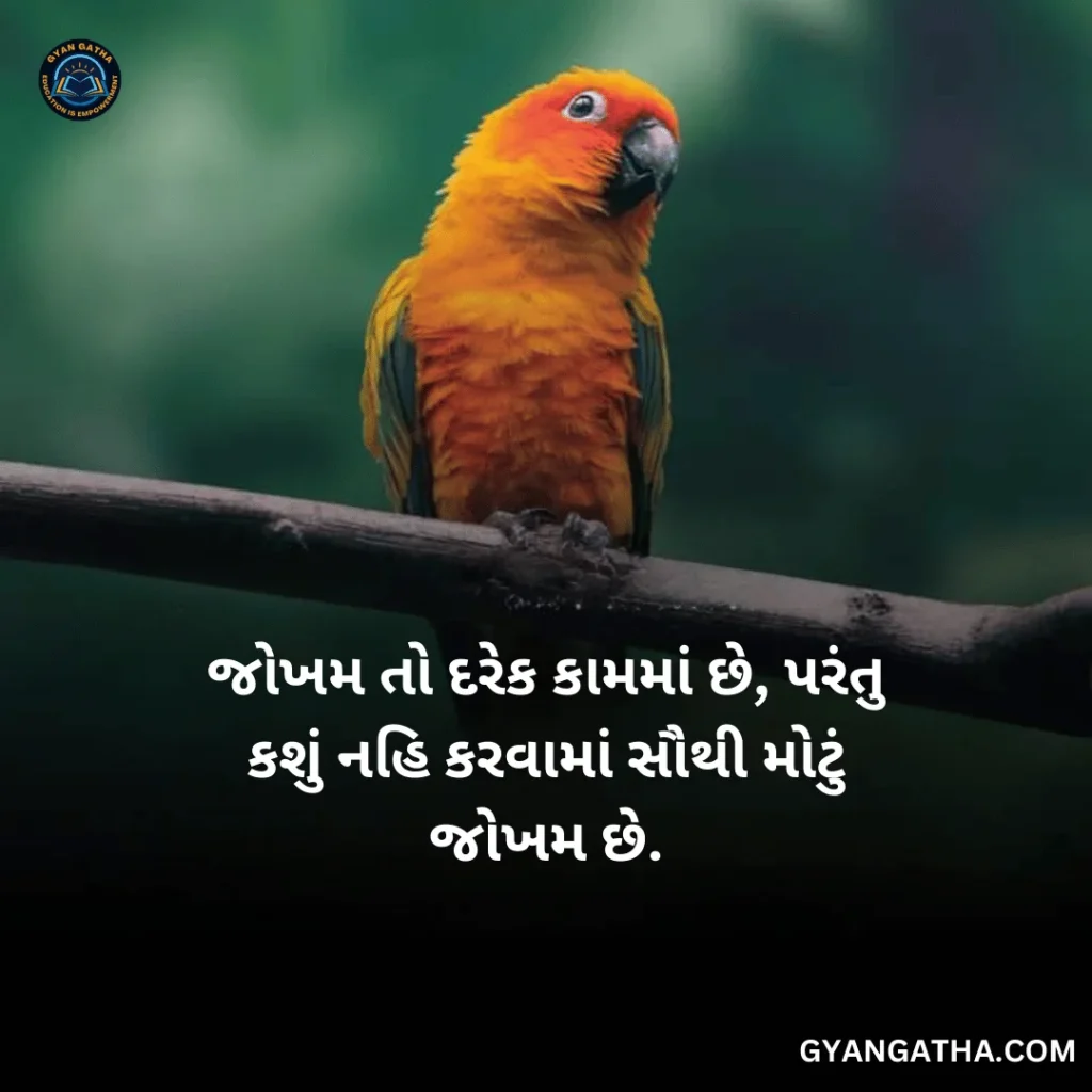 જોખમ તો દરેક કામમાં છે, પરંતુ કશું નહિ કરવામાં સૌથી મોટું જોખમ છે.