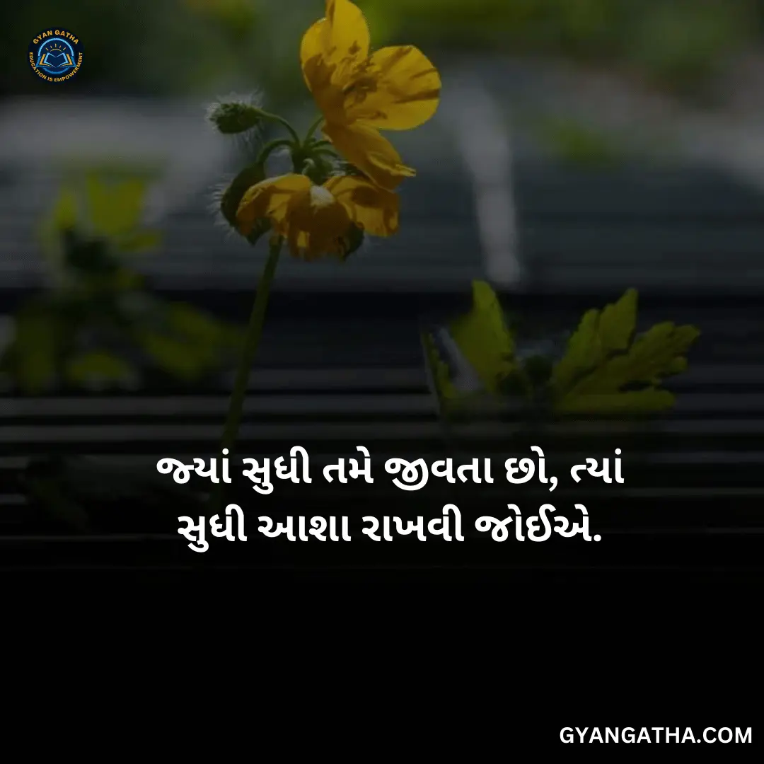 જ્યાં સુધી તમે જીવતા છો, ત્યાં સુધી આશા રાખવી જોઈએ