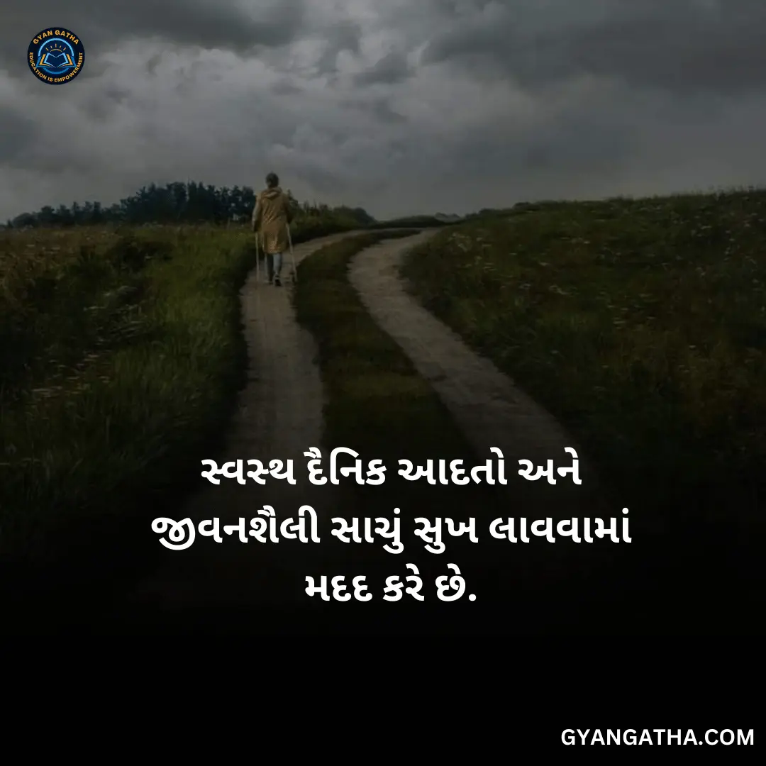 સ્વસ્થ દૈનિક આદતો અને જીવનશૈલી સાચું સુખ લાવવામાં મદદ કરે છે