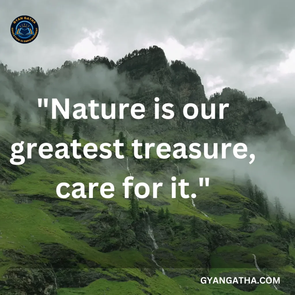 Nature is our greatest treasure, care for it.