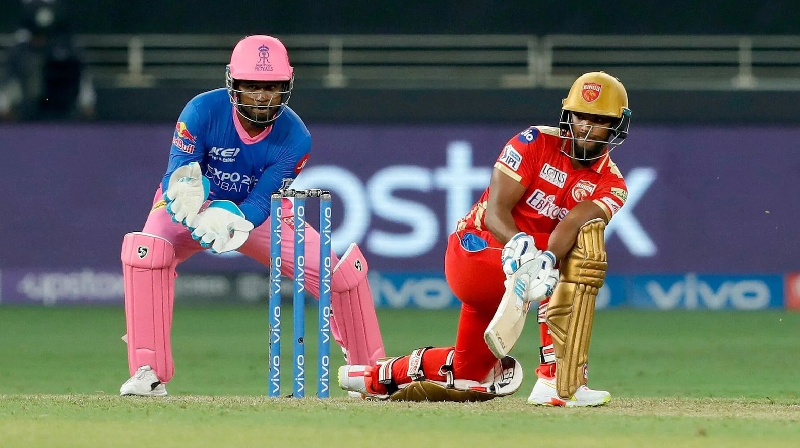 Live Cricket Updates That Stay Easy to Explain