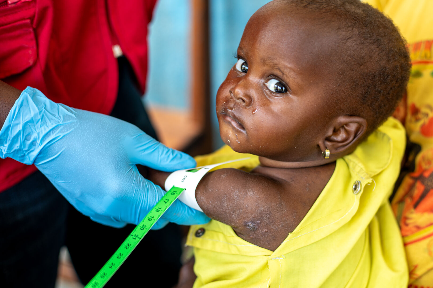 The Purpose and Vision of Save The Hardheads Explained