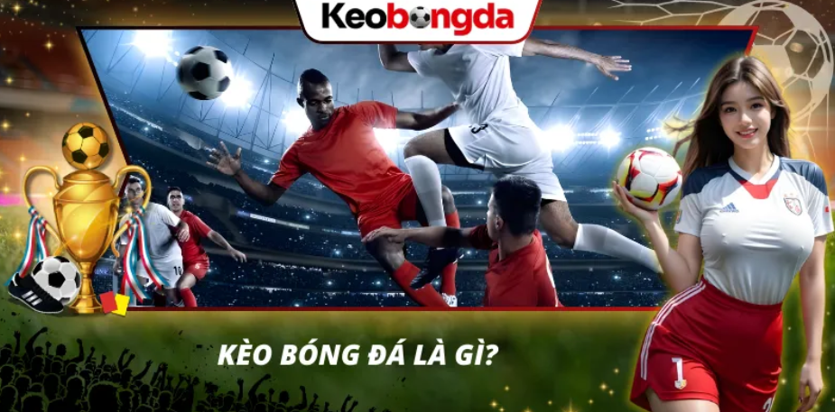 How Bookmakers Set Football Odds: Inside Secrets