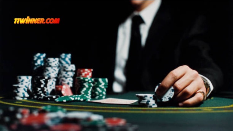 11winner India: Core Platform Features and Market Position